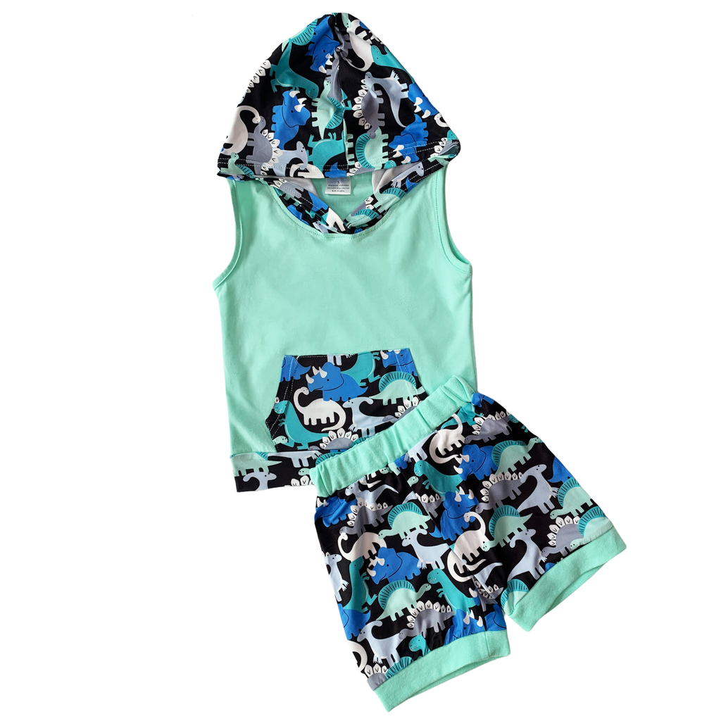 Al Limited Boys Dinosaur Hoodie Kangaroo Pocket Short Set Outfit 8